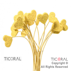 MICROFORMA CORAZON AMARILLO GIBRE TELGO x 18